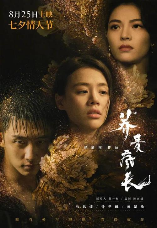 优待安置证做假的